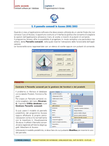 5. Il pannello comandi in Access 2000/2003