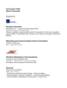 Curriculum Vitae Marco Pavanello Esperienza Direttore