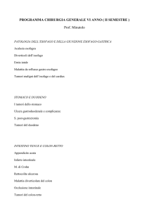 Prof. Minutolo - Medicina Unict