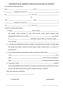 Contratto Vendita Olive sulla pianta