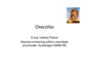 Seminario 12 settembre - Malattie orecchio