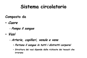 Diapositiva 1