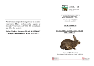 La mixomatosi e la malattia emorragica virale del coniglio