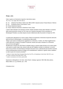 Elegia, 1969 - Fondazione Giulio e Anna Paolini