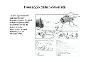 Classificazione artropodi File - e