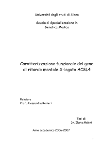 Caratterizzazione funzionale del gene di ritardo m entale X