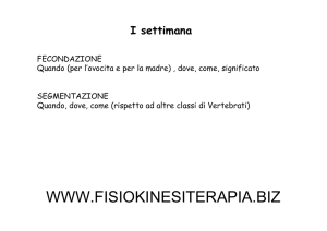 II settimana - Fisiokinesiterapia