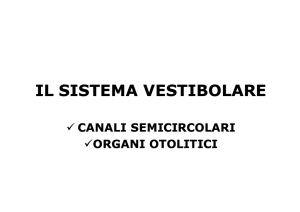 canali semicircolari - Dipartimento di Psicologia