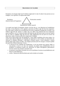 TRIANGOLO DI PALMER Kiropratico ed osteopata degli