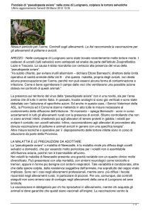 Focolaio di “pseudopeste aviare” nella zona di