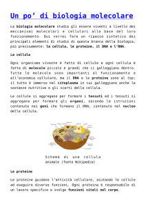 di biologia molecolare