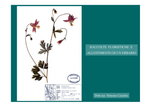 RACCOLTE FLORISTICHE E ALLESTIMENTO DI UN