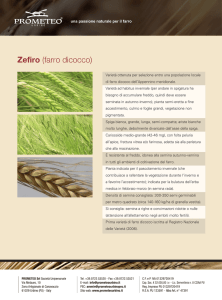 Zefiro (farro dicocco)