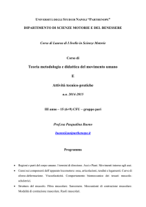 Teoria metodologia e didattica del movimento umano E Attività