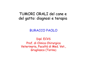 TUMORI ORALI