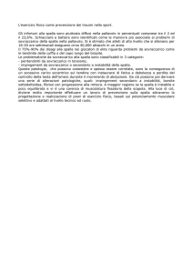 L`esercizio fisico come prevenzione dei traumi nello sport