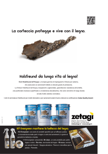 La corteccia protegge e vive con il legno. Holzfreund da