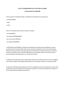 UN PO` DI INFORMAZIONI SULLE LE BATTERIE AL PIOMBO BY