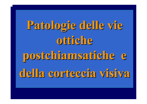 Patologie post-chiasmatiche e della corteccia visiva