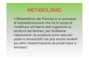 METABOLISMO