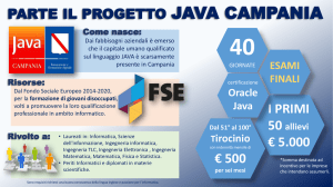 Infografica java - Regione Campania