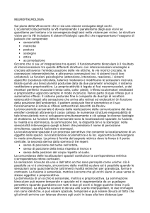 NEUROFTALMOLOGIA Sul piano della VB occorre