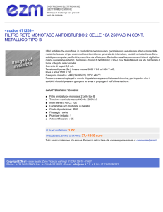 filtro rete monofase antidisturbo 2 celle 10a 250vac in cont. metallico