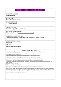 Anatomia e caratteristiche morfofunzionale dell`unità