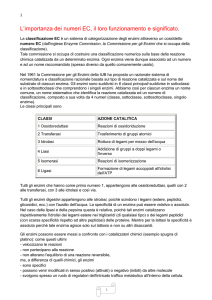 Enzimi - Sistemi di trasporto a elettrone
