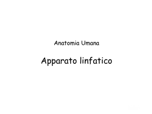 SISTEMA LINFATICO E MILZA File