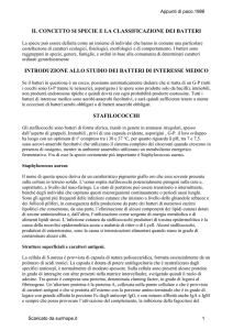 Il concetto di specie e classificazione dei batteri