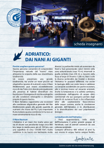 Adriatico: dai nani ai giganti