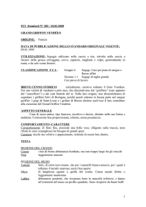 Scarica da ENCI (IT)