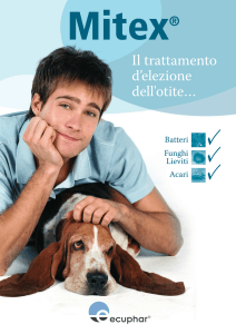 Depliant Mitex