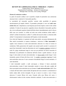 REVIEW DI CARDIOLOGIA PER IL CHIRURGO – PARTE 1