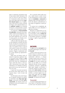 ALSIA_Monografia 08 INSETTI.indd