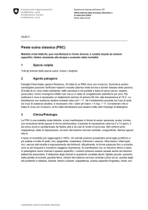 Peste suina classica (PSC)