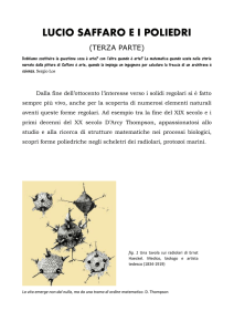 Lucio Saffaro e l`arte matematica