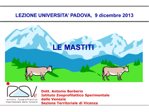 Le mastiti File - e