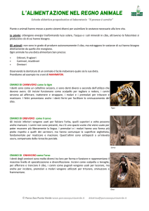 L```ALIMENTAZIONE nel regno animale