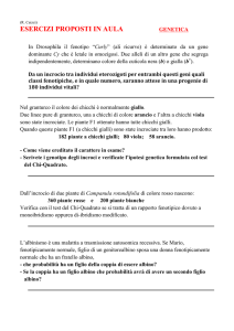 servizi online