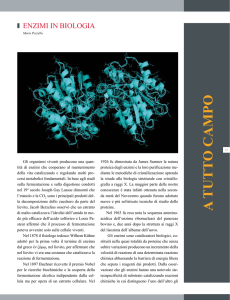enzimi in biologia