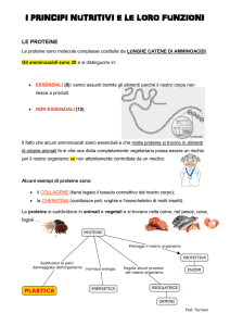 I PRINCIPI NUTRITIVI E LE LORO FUNZIONI