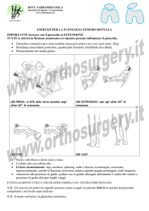 fkt femoro rotulea