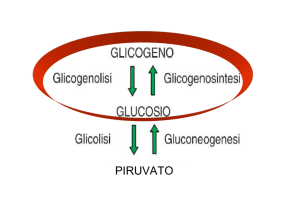 Diapositiva 1