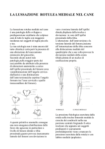 LA LUSSAZIONE ROTULEA MEDIALE NEL CANE.pages