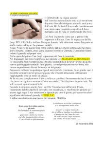 volantino descrittivo Un seme contro la violenza