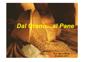 Dal Grano…al Pane - Dal pane al seme