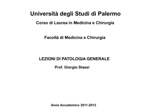 Diapositiva 1
