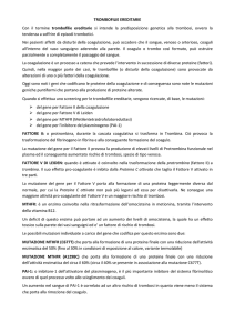 Trombofilia